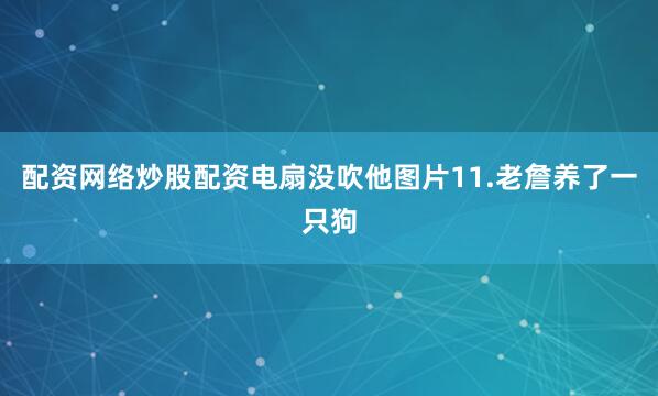 配资网络炒股配资电扇没吹他图片11.老詹养了一只狗