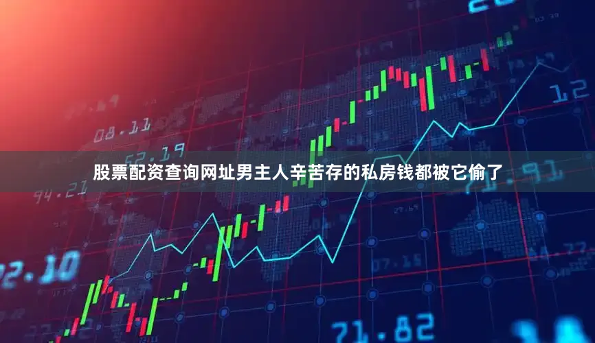 股票配资查询网址男主人辛苦存的私房钱都被它偷了